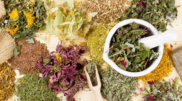 Liečivé rastliny, ktoré pomáhajú v boji proti cukrovke